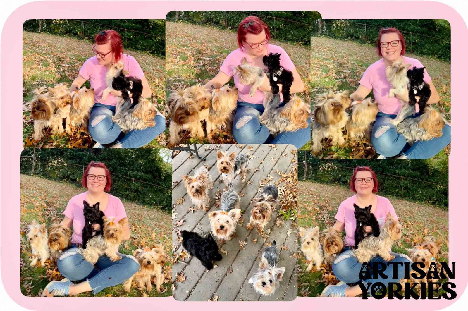 A grid of 6 images of Breeder Caitlin surrounded by our yorkies